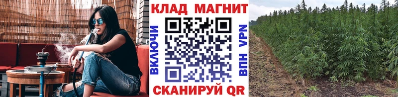 Где найти наркотики Кингисепп Марихуана Амфетамин Метамфетамин Гашиш COCAIN Мефедрон A-PVP